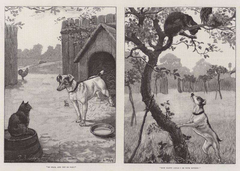 Katten en honden door Louis Wain