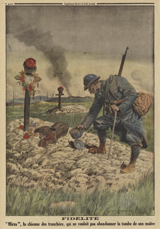 Loyaliteit: Franse legerhond weigert het graf van haar dode meester te verlaten, Eerste Wereldoorlog door Louis Charles (after) Bombled