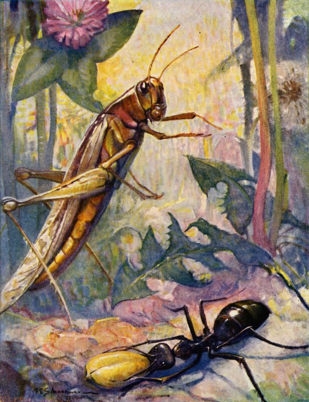 De mier en de sprinkhaan door Louis John Rhead