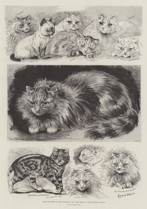 Prijswinnaars op de National Cat Club Show in het Crystal Palace door Louis Wain