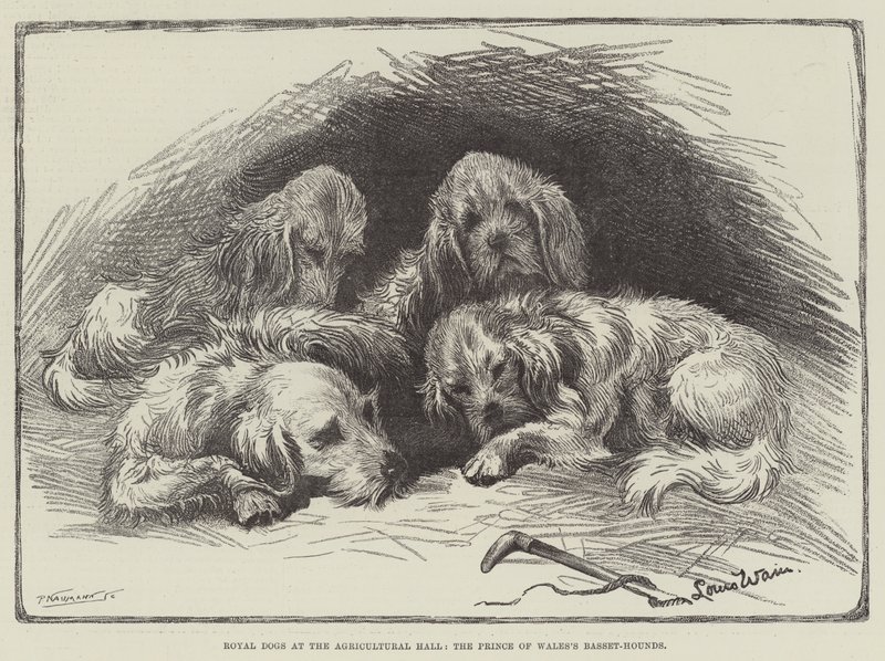 Koninklijke honden in de Agricultural Hall, de basset-hounds van de prins van Wales door Louis Wain