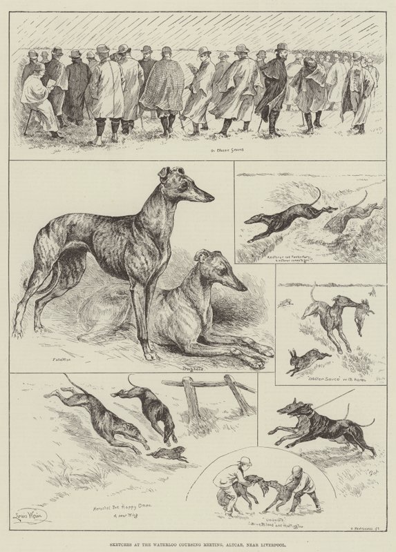 Schetsen bij de Waterloo Coursing Meeting, Altcar, nabij Liverpool door Louis Wain