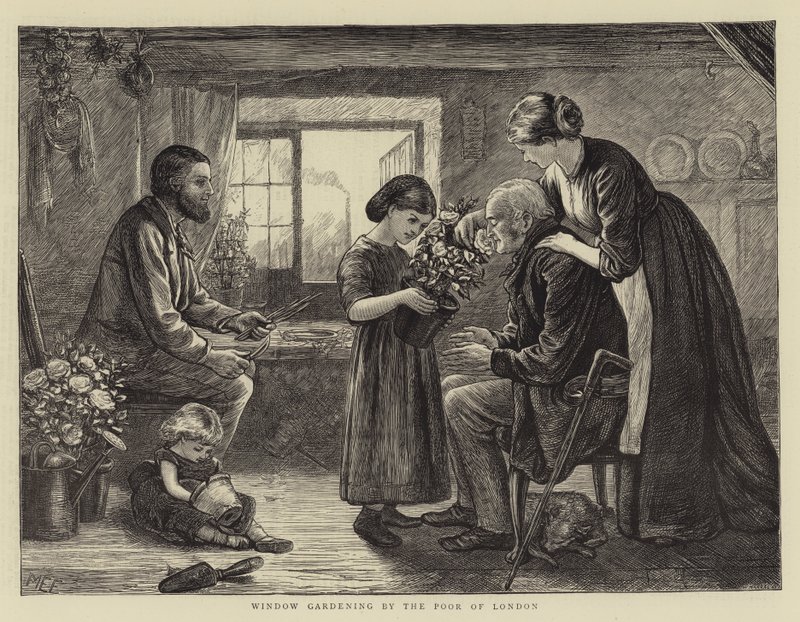 Raamtuintjes door de Armen van Londen door Mary Ellen Edwards