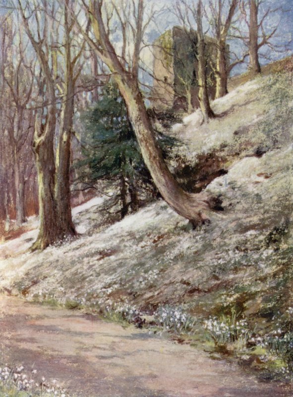Schotse tuinen: Ardgowan door Mary Georgina Wade Wilson