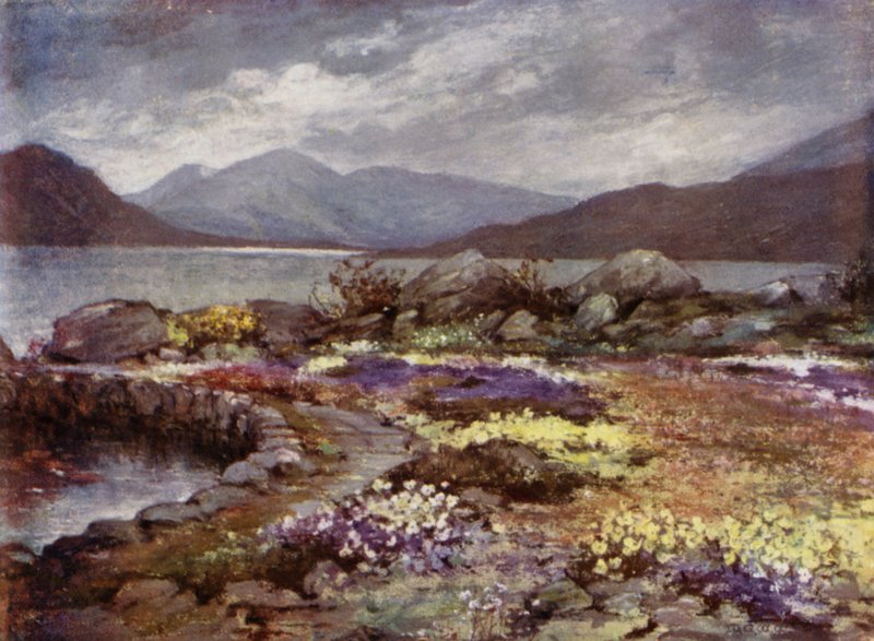 Schotse Tuinen: Corrour door Mary Georgina Wade Wilson
