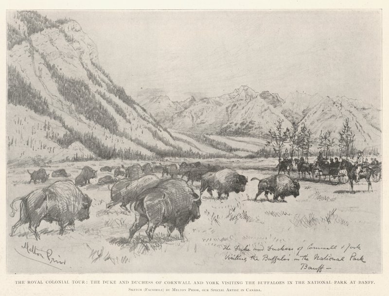 De koninklijke koloniale tour, de hertog en hertogin van Cornwall en York bezoeken de buffels in het nationale park van Banff door Melton Prior