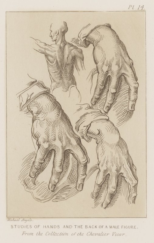 Studies van handen en de rug van een mannelijk figuur door Michelangelo (after) Buonarroti