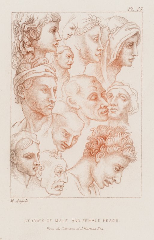 Studies van mannelijke en vrouwelijke hoofden (ets) door Michelangelo (after) Buonarroti