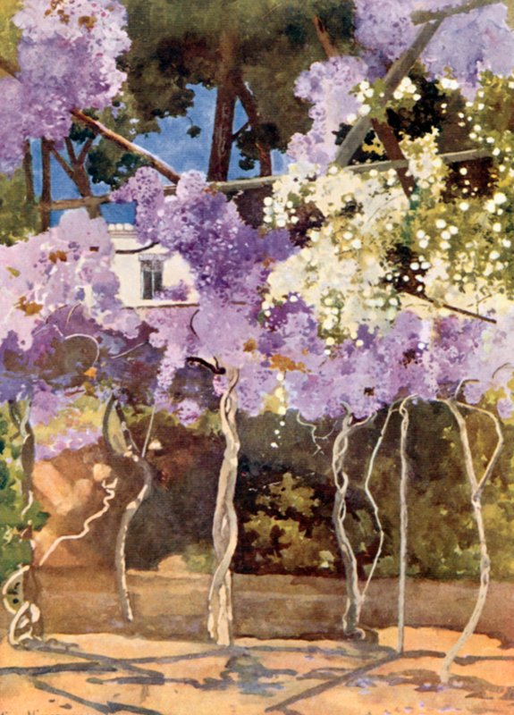 De Wisteria Prieel, Het Koninklijk Paleis, Athene door Mima Nixon