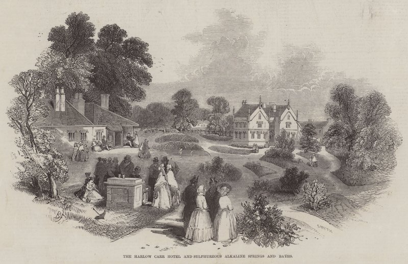 Het Harlow Carr Hotel en Zwavelhoudende Alkalische Bronnen en Baden door Myles Birket Foster