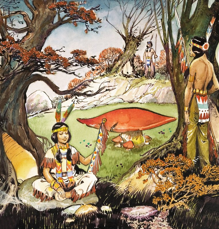 Een Squaw en Braves, illustratie uit 