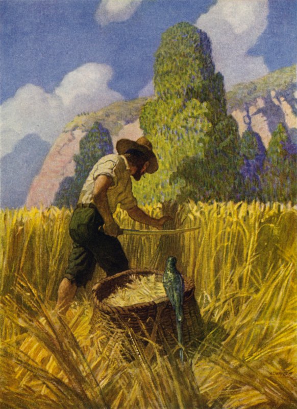 Illustratie voor Robinson Crusoe door Newell Convers (after) Wyeth