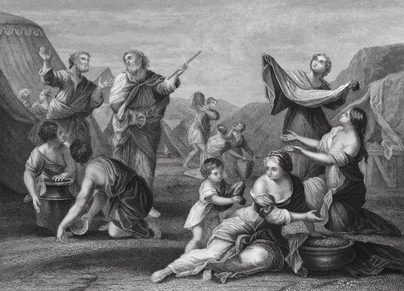 De val van manna, Exodus, Hoofdstuk 16, verzen 14, 24 door Nicolas (after) Poussin