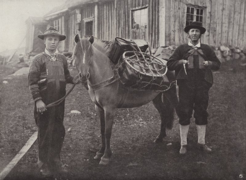 Saetersdalen hooglanders met pakpaard door Norwegian Photographer
