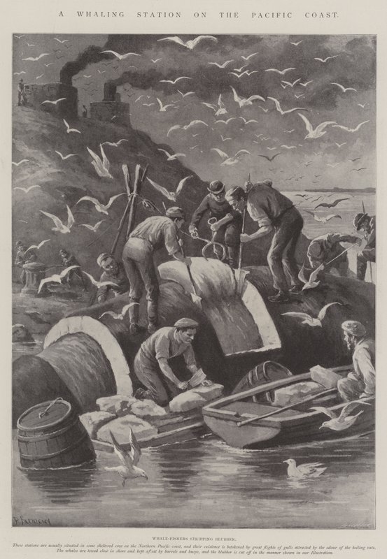 Een Walvisstation aan de Pacifische Kust door Paul Frenzeny