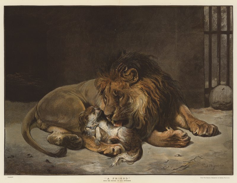 Een vriend door Paul Friedrich Meyerheim