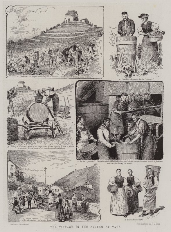 De Wijnoogst in het Kanton Vaud door Paul Destez