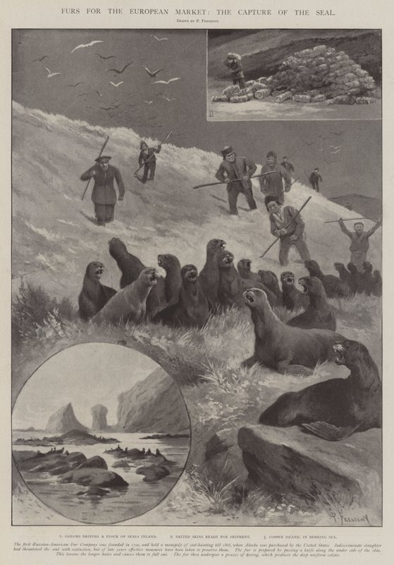 Bont voor de Europese Markt, de Vangst van de Zeehond door Paul Frenzeny