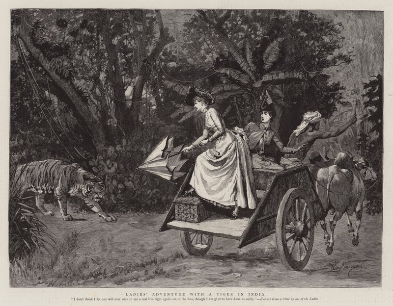 Avontuur van Dames met een Tijger in India door Percy Macquoid