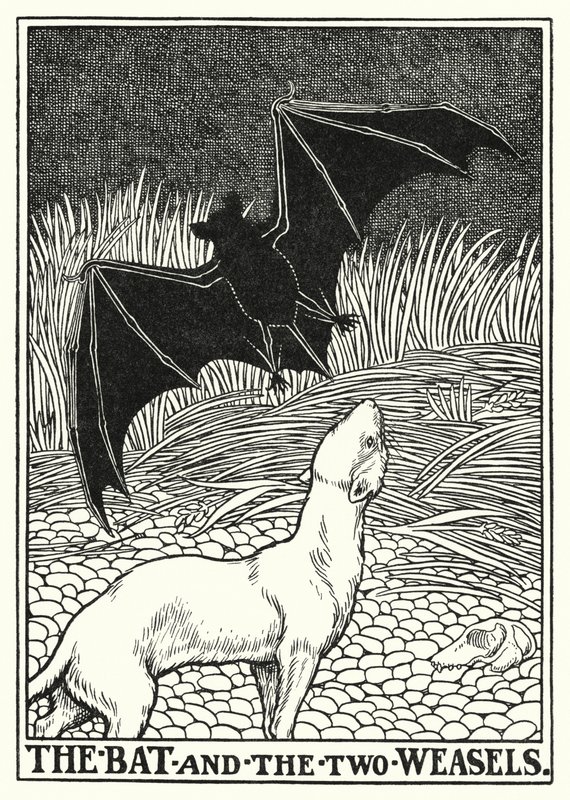 Fabels van La Fontaine: De vleermuis en de twee wezels door Percy James Billinghurst