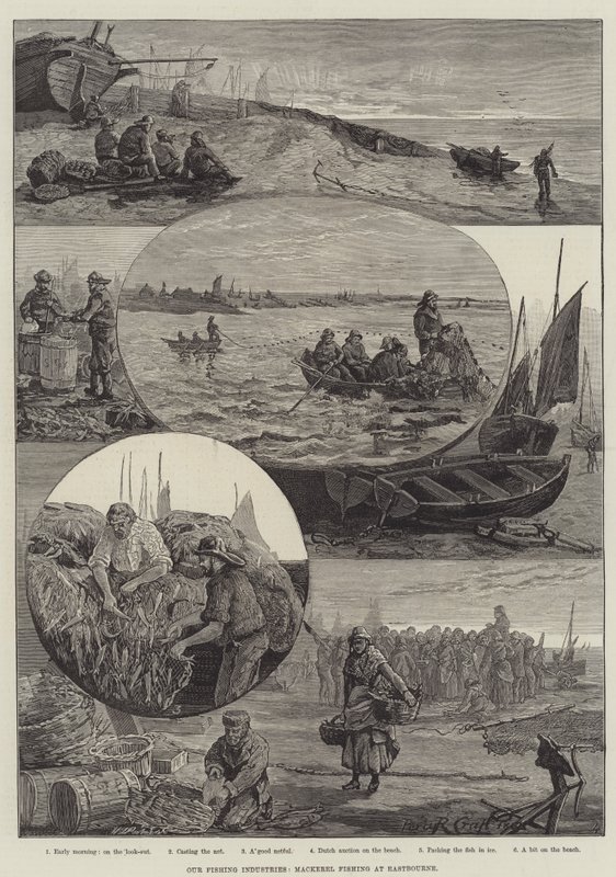 Onze visserij-industrieën, makreelvissen in Eastbourne (gravure) door Percy Robert Craft