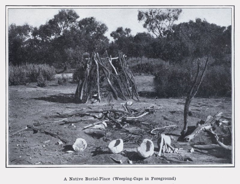 Een inheemse begraafplaats, huilende kappen op de voorgrond door Photographer Australian