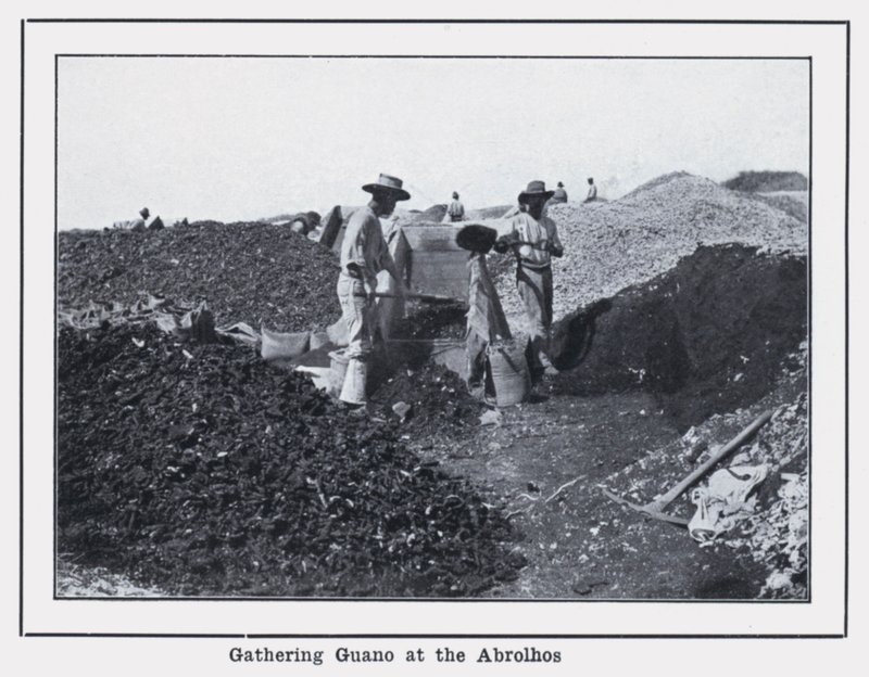 Verzamelen van guano bij de Abrolhos door Photographer Australian