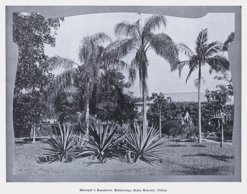 Woning van de manager, Kamerunga State Nursery, Cairns door Photographer Australian
