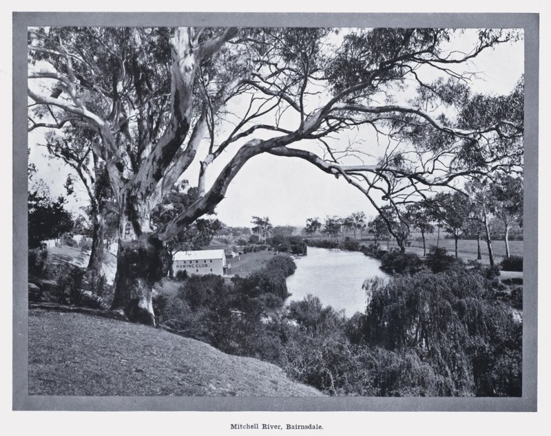 Mitchell River, Bairnsdale door Photographer Australian