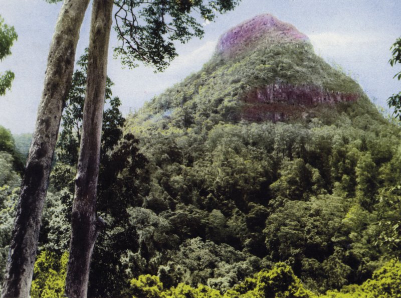 Queensland, Australië: Mt Cordeaux door Photographer Australian