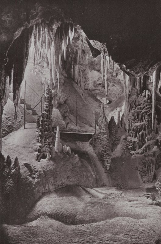 Scène in de beroemde Jenolan-grotten, New South Wales door Photographer Australian