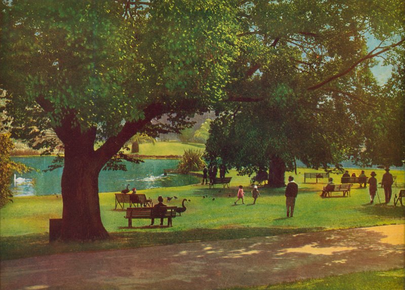 De botanische tuinen, Melbourne (kleurenfoto) door Photographer Australian