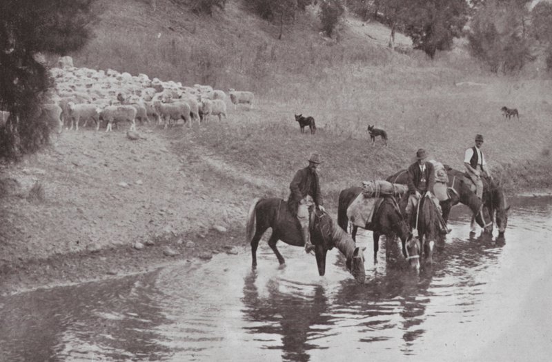 De Rust, Typische Australische Veedrijvers door Photographer Australian