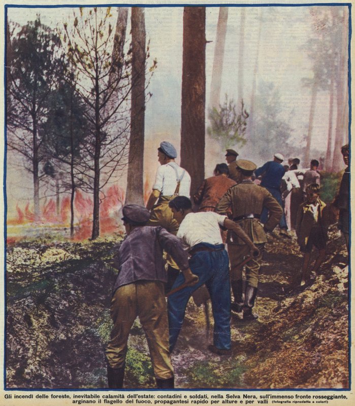 Boeren en soldaten vechten tegen een bosbrand in het Zwarte Woud, Duitsland door Photographer German