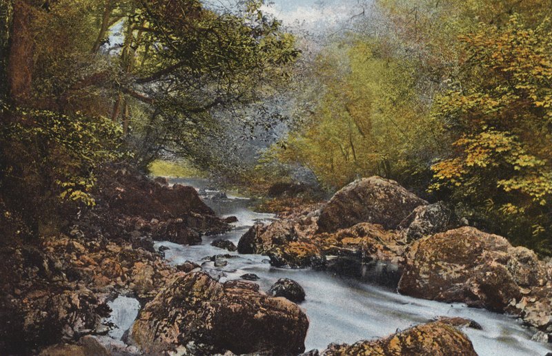 Ierland: In De Dargle, County Wicklow door Photographer Irish