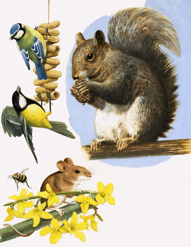 Drukke diertjes, waaronder de pimpelmees, koolmees, hommel, veldmuis en grijze eekhoorn. door R.B. Davis