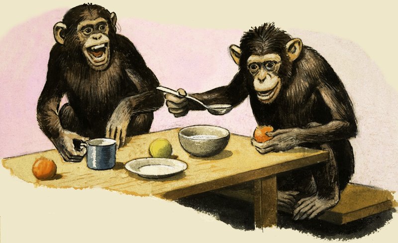 Z voor dierentuin. Chimpansee