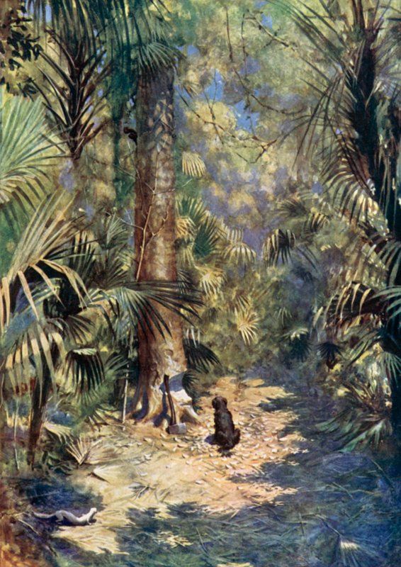 Illustratie voor Robinson Crusoe door Daniel Defoe door Ralph Noel Pocock