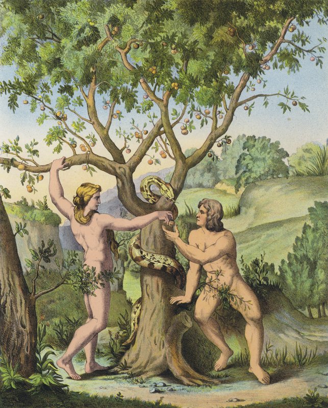 Eva presenteert de appel van de Boom van Kennis van Goed en Kwaad aan Adam door after Raphael