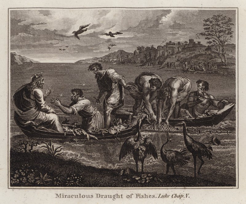 Raphael cartoon: Wonderbaarlijke visvangst, Lucas, Hoofdstuk V (gravure) door after Raphael