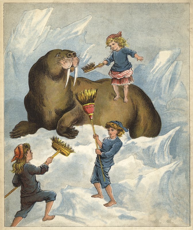 Het schoonmaken van de tanden van een walrus door Richard Andre