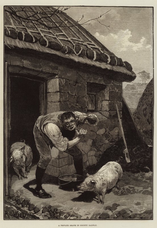 Een privé scheerbeurt in County Galway door Richard Caton Woodville junior