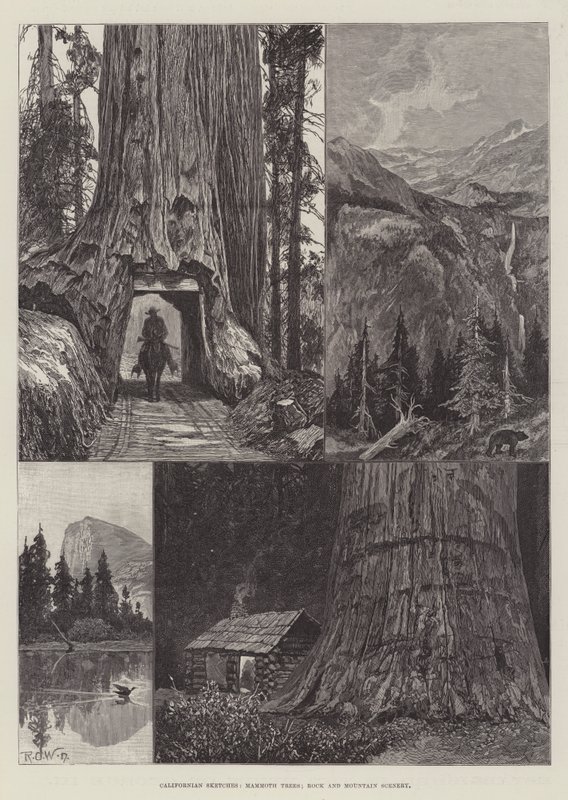 Californische Schetsen, Mammoetbomen, Rots- en Berglandschap door Richard Caton Woodville junior