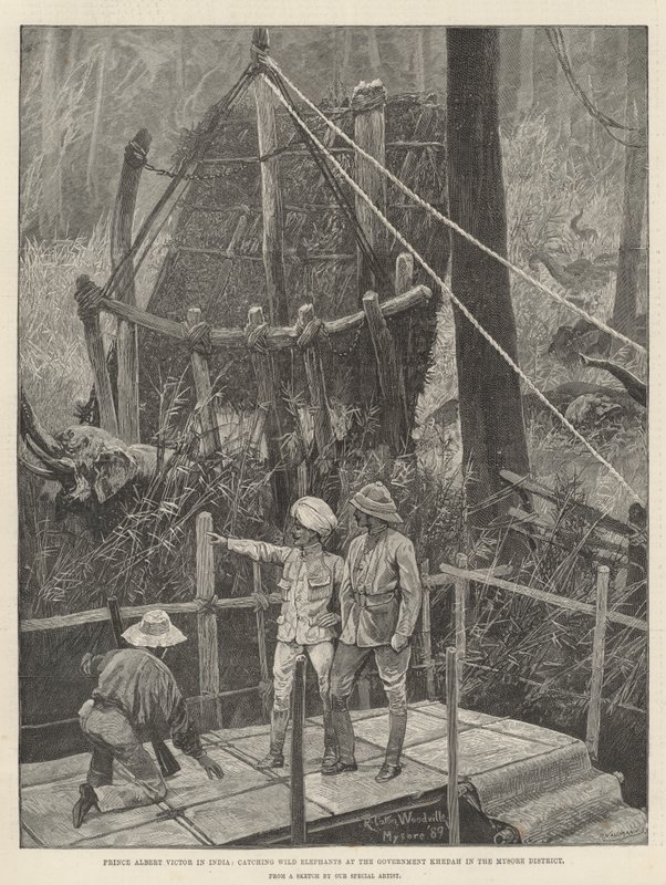 Prins Albert Victor in India, vangt wilde olifanten bij de regering Khedah in het Mysore-district door Richard Caton Woodville junior