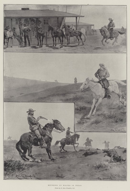 Wolven bijeen drijven in Texas door Richard Caton Woodville junior