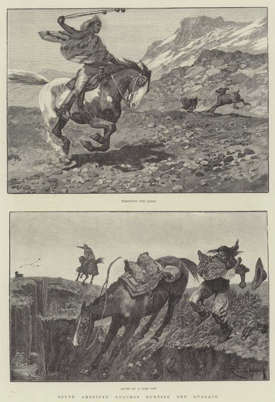 Zuid-Amerikaanse gaucho
