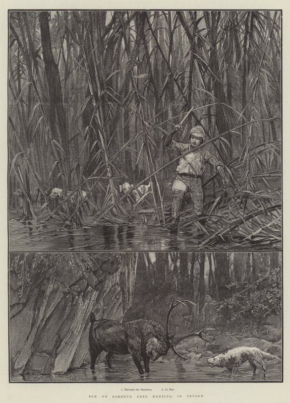Elk of Sambhur Hert Jacht, in Ceylon door Richard Caton Woodville junior
