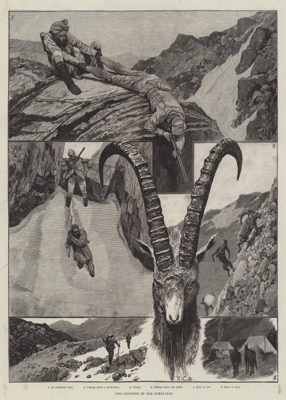 Steenbokjacht in de Himalaya door Richard Caton Woodville junior