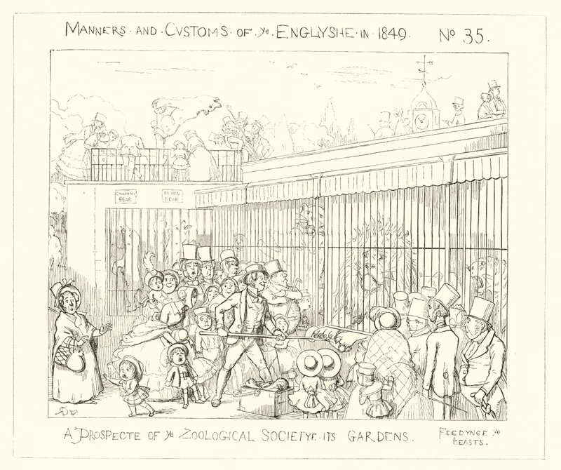 Een vooruitzicht van de tuinen van de Zoological Society door Richard Doyle