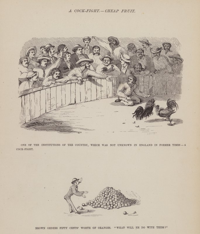 Pagina uit De Amerikaanse Tour van de heren Brown, Jones en Robinson door Richard Doyle